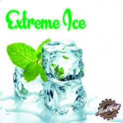 Extreme Ice