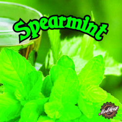 Spearmint